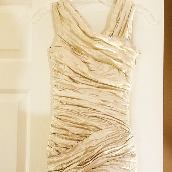 Gorgeous Nicole Miller Dress- Cream - Picture 3 of 4